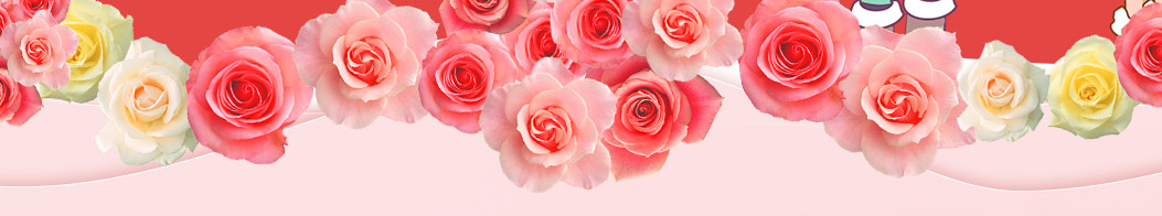 520送女朋友什么